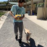 Available: DogSitter/Walker, LOVES Dogs, can take care of multiple dogs at once