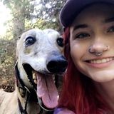Seeking Beavercreek Pet Sitter, Ohio Jobs