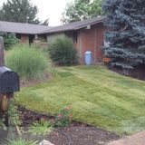 General Handyman/ Landscaping Services (Free Estimates!)