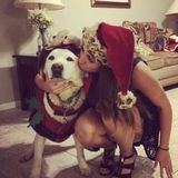 Pet Sitter, Philadelphia
