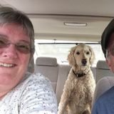 Dog sitter, kitty care