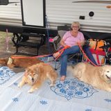 Loving & Enthusiastic Full Time Pet Sitter!