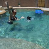Pet and Home Sitting