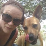 Sandy Paws: Dog Walking and Boarding