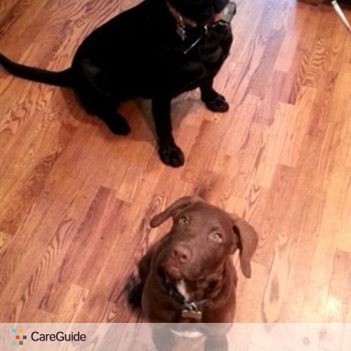 Pet Care Provider Brianna P's Profile Picture