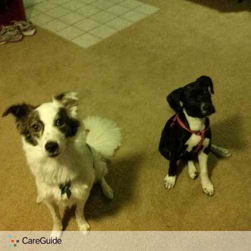 Pet Care Job Maria A's Profile Picture