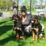 EXCELLENT live-out nanny/babysitter available