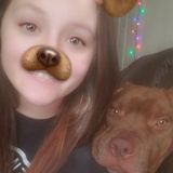 I offer pet walking, sitting, and bathing. I am an animal lover who is dedicated to going the extra mile for the 4 legged.
