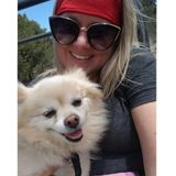 Interested In Park City (and surrounding areas) Pet Sitter, Utah Jobs