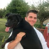 Capable House Sitter from Westhampton to Easthampton