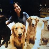 Knowledgeable Dog Sitter in Long Beach, New York