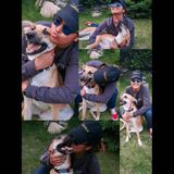 Pet sitter and dog walker seeks dogs and cats to care for during your vacations or work hours!