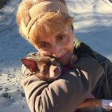 Mature English/Italian speaking lady looking for Live-In nanny/home care position in Brampton or surrounding areas