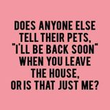 College Park & West Winter Park Dog Walker or Daily Pet Visits