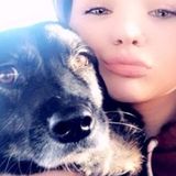 Pet Sitter