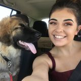 Available: Professional Pet Care Provider in Bluffton, Indiana