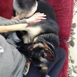 Long walks and longer pets!