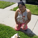 Available: Qualified Housekeeper in Los Angeles