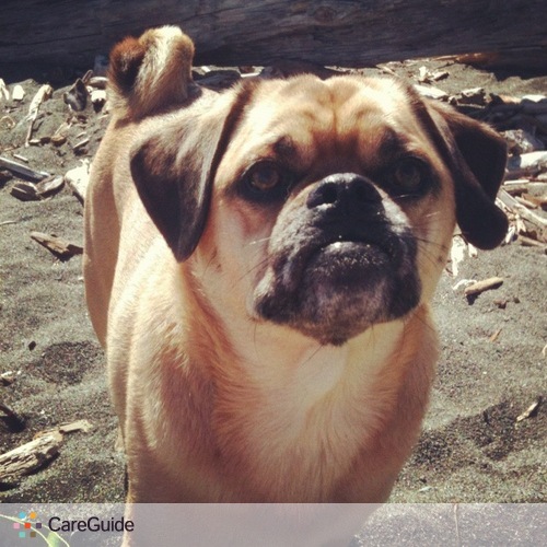 Pet Care Provider Jennie Sharke's Profile Picture