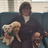 Interested In a Dog Sitting Professional Job in Alpharetta, Georgia