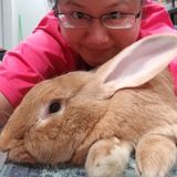 Love rabbits - will treat them like my own.