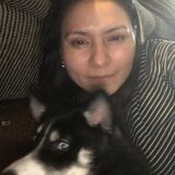 Silvia, animal lover and experience with animals. How may I serve you?