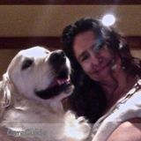 Housekeeper, petsitter, house sitter and more