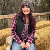 Looking For Bemidji Childminder, Minnesota Jobs