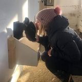 Petlover