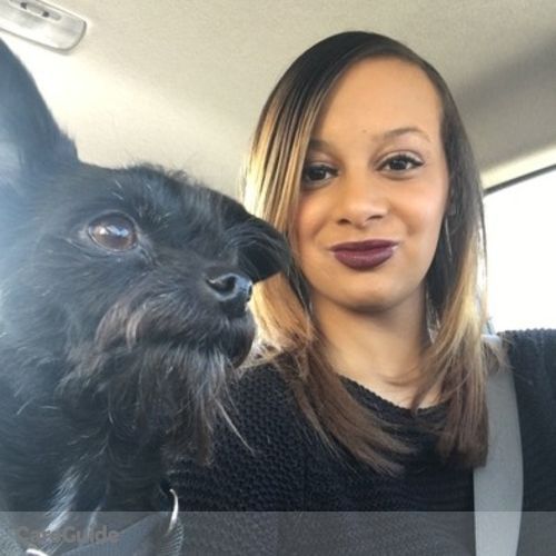 Pet Care Provider Danielle Williams's Profile Picture