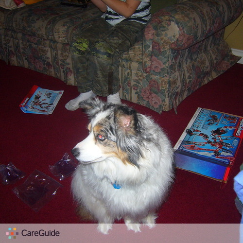 Pet Care Provider Laurie C's Profile Picture
