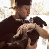 For Hire: Experienced Pet Sitter in Stroudsburg