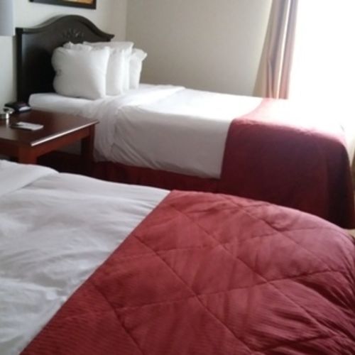 Housekeeper Provider Anita D's Profile Picture