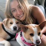 For Hire: Dedicated Pet Sitter in Marlboro