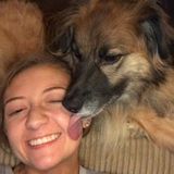 Looking For a Dog Walker Job in Huntington