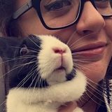 Experienced Veterinarian Assistant, Future Veterinarian