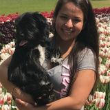 Consistent Pet Sitter in Halifax, Nova Scotia