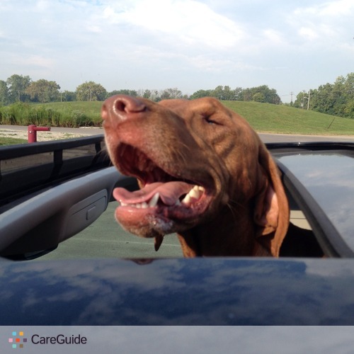 Pet Care Provider Jenna R's Profile Picture