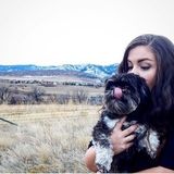 Overall home and pet care offered in Grand Valley.