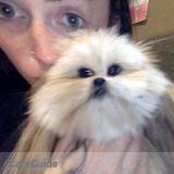 Animal Lover with lots of experience!