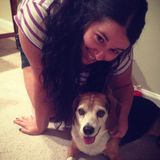 For Hire: Dog and Cat sitter in Apex, North Carolina