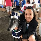 Rockford Dog Walker Searching for Job Opportunities in Illinois