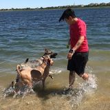 Looking For a Pet Sitting Professional Job in Jersey Village