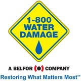 Water Damage Professionals