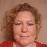 Housesitter available