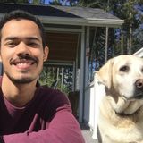 Available: Great Housekeeper/nanny/ pet sitter
