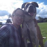 Pet pamper care services