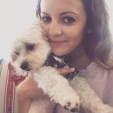 Dog Lover Available for Hire