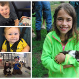Babysitting, Pet Sitting Or Dog Walking