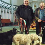Interviewing For a Petsitter Job in Charlottetown, Prince Edward Island